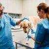 Veterinaire protest in Malaga