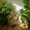 Away for a while? Here’s how your plants survive the summer in Spain