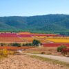 The ancient wine routes of Spain – from amphora to wine trail