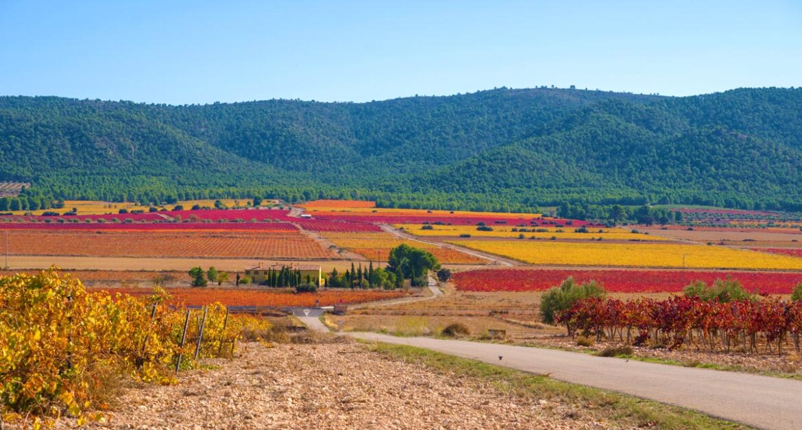 oude wijnroutes spanje