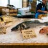 Verse vis in augustus: dorada, lubina en salmonete