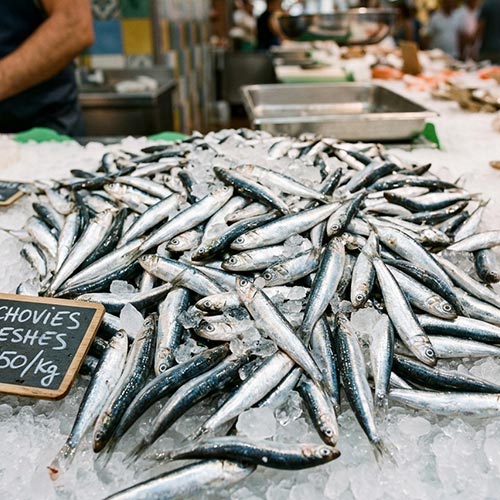 Boqueron -  verse ansjovis