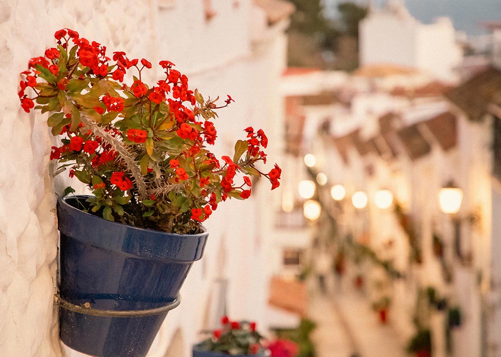 pittoresque detail Mijas Costa del Sol